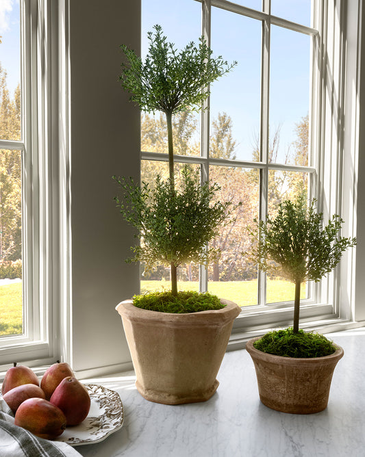Faux Myrtle Topiary Drop-In
