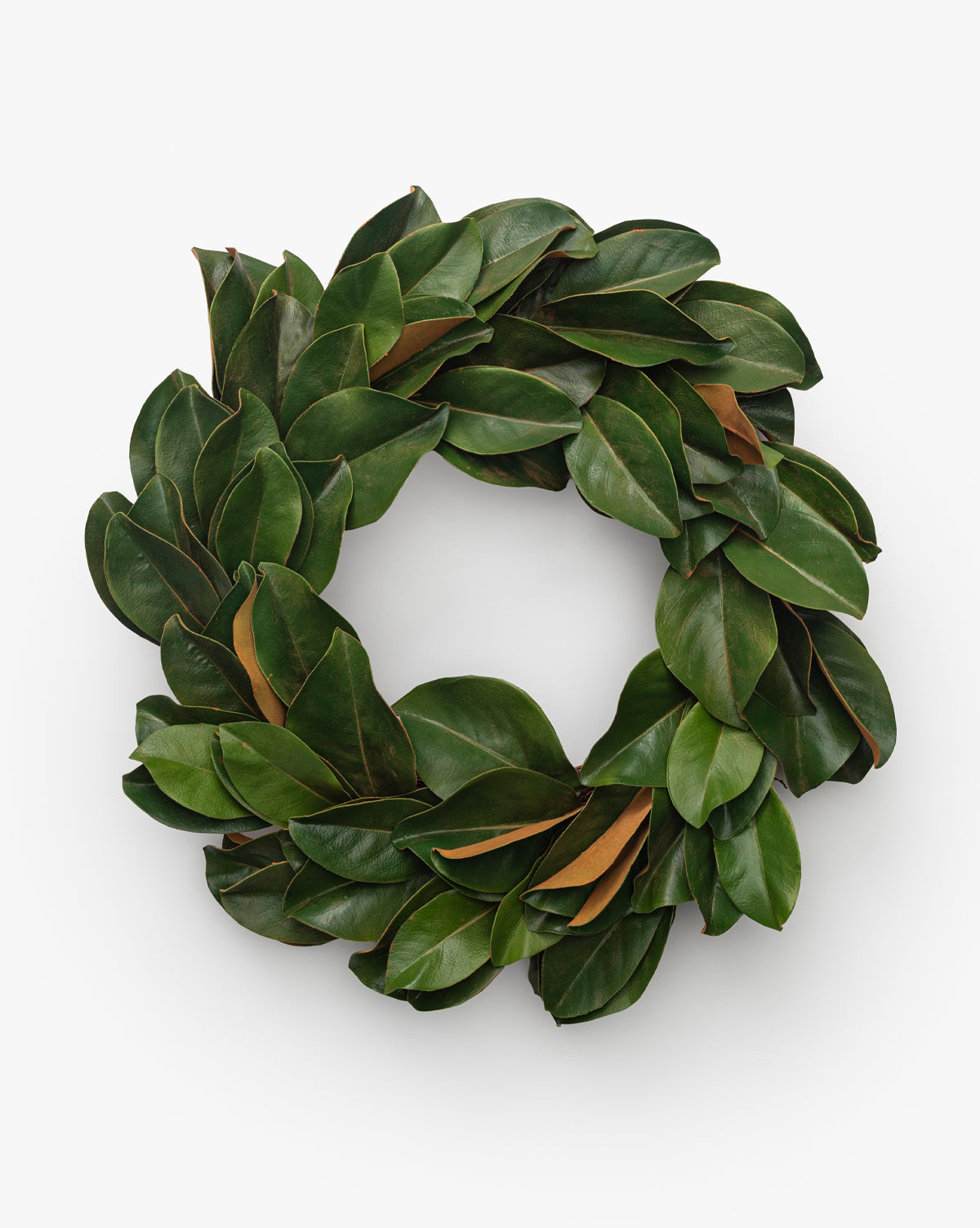 24" Magnolia Wreath