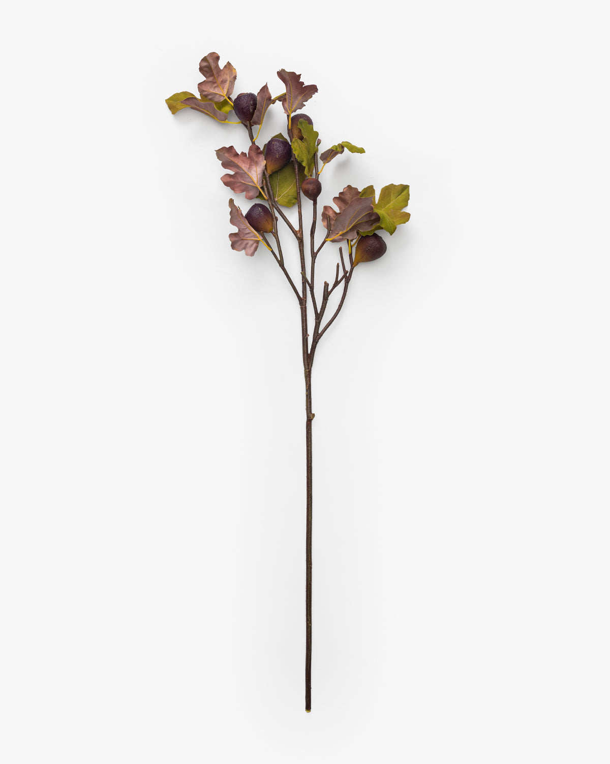 37" Fig Fruit Branch