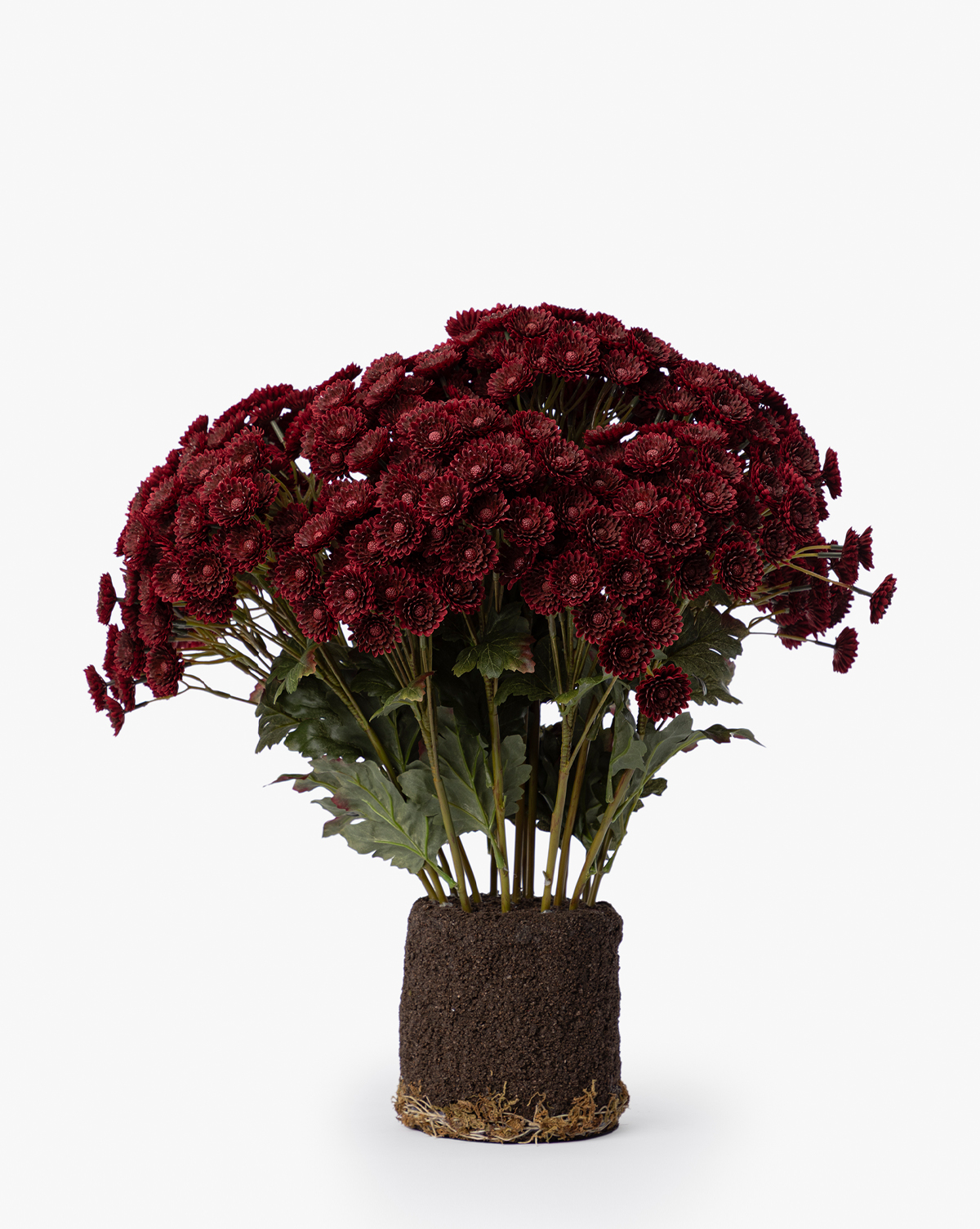 Faux Mum Drop-In
