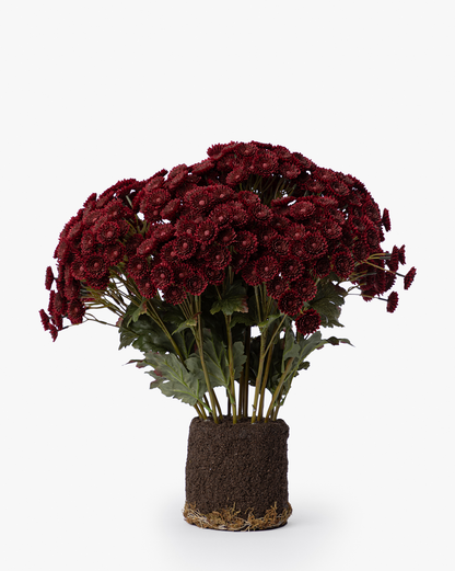 Faux Mum Drop-In