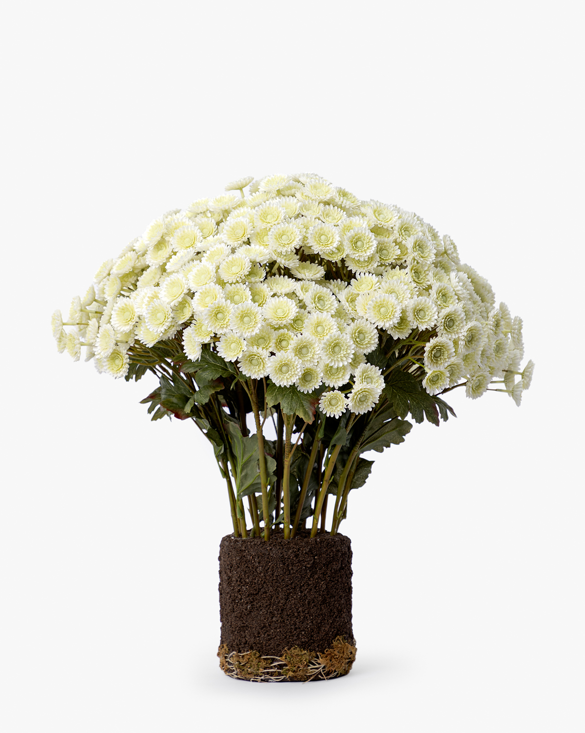Faux Mum Drop-In