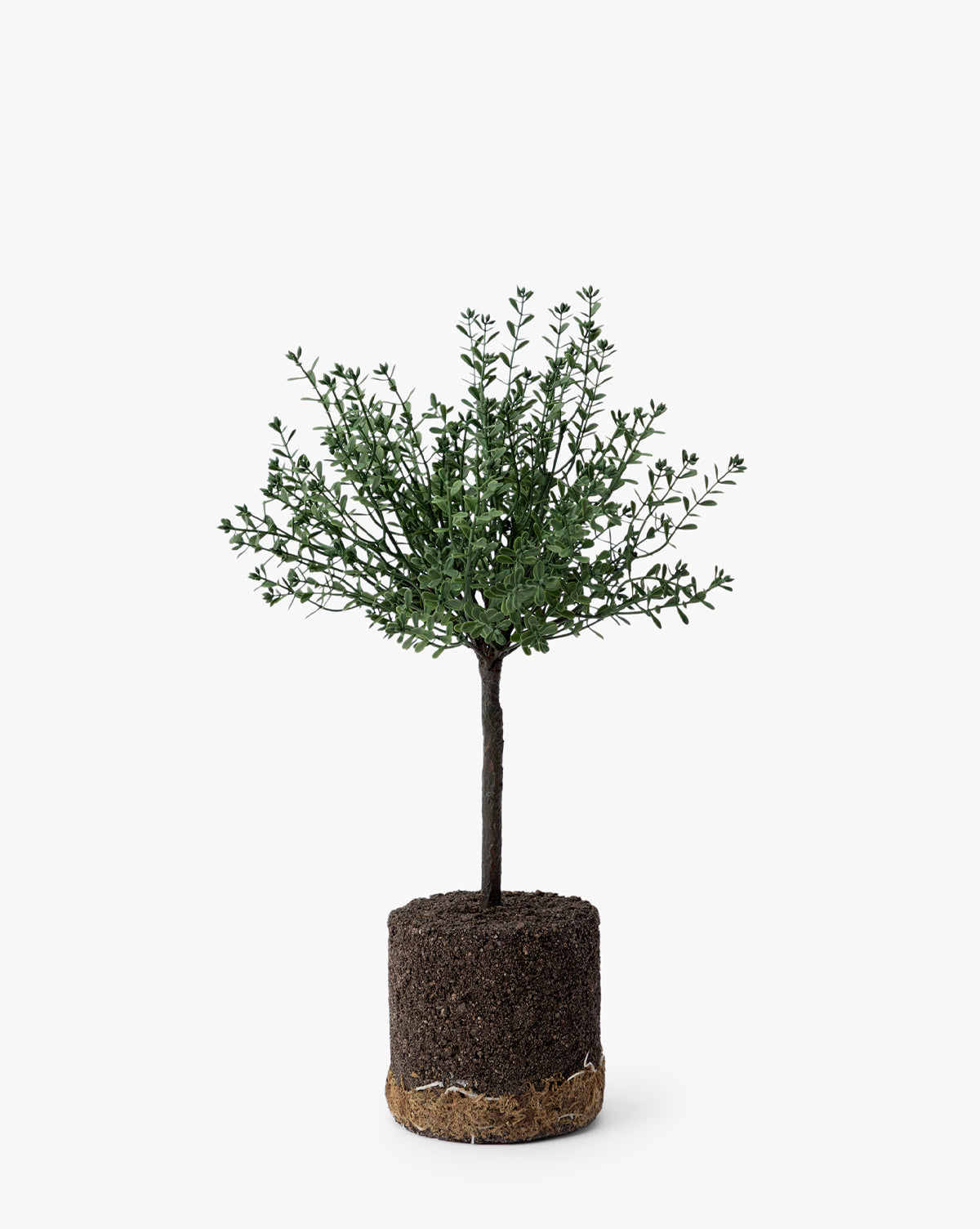 Faux Myrtle Topiary Drop-In