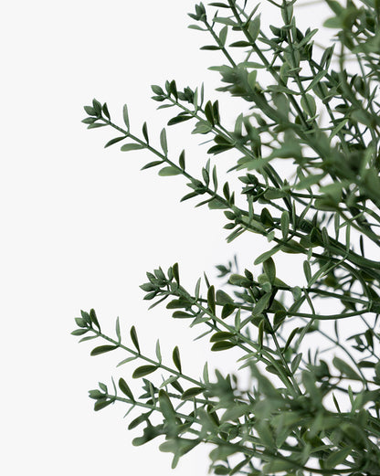 Faux Myrtle Topiary Drop-In