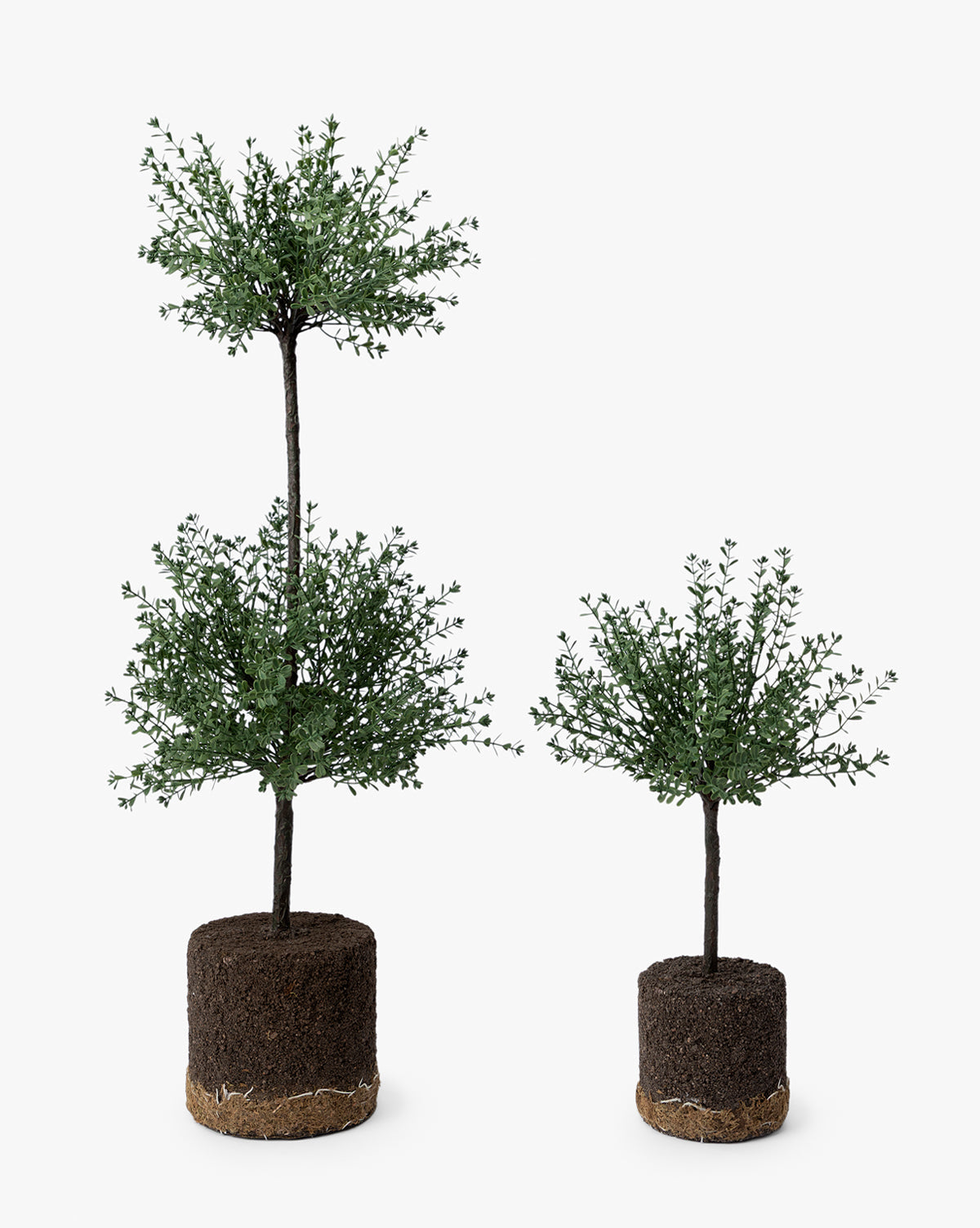 Faux Myrtle Topiary Drop-In