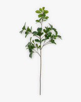 Faux Shady Lady Stem