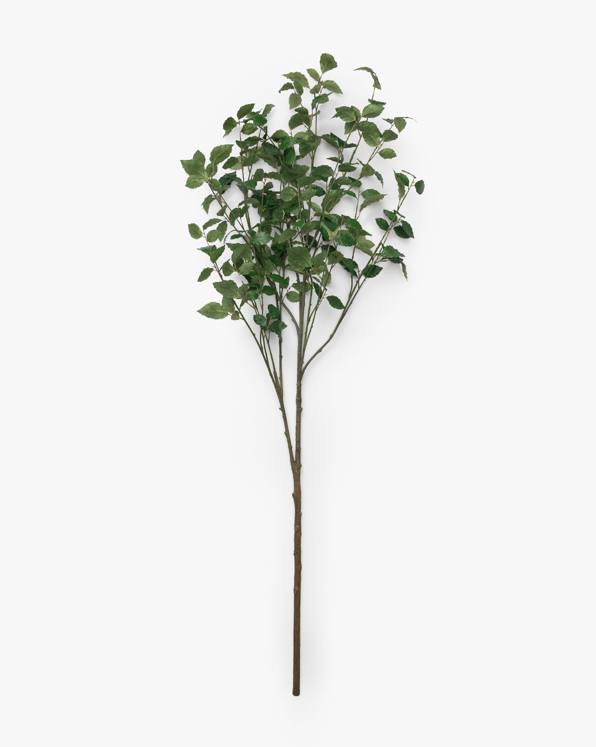 Faux Beech Leaf Branch