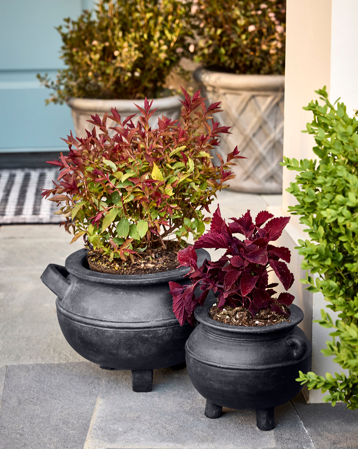 Midnight Cauldron Planter